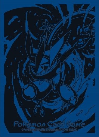 Card Sleeves - Giovanni's Directive (64-Pack) Pokémon