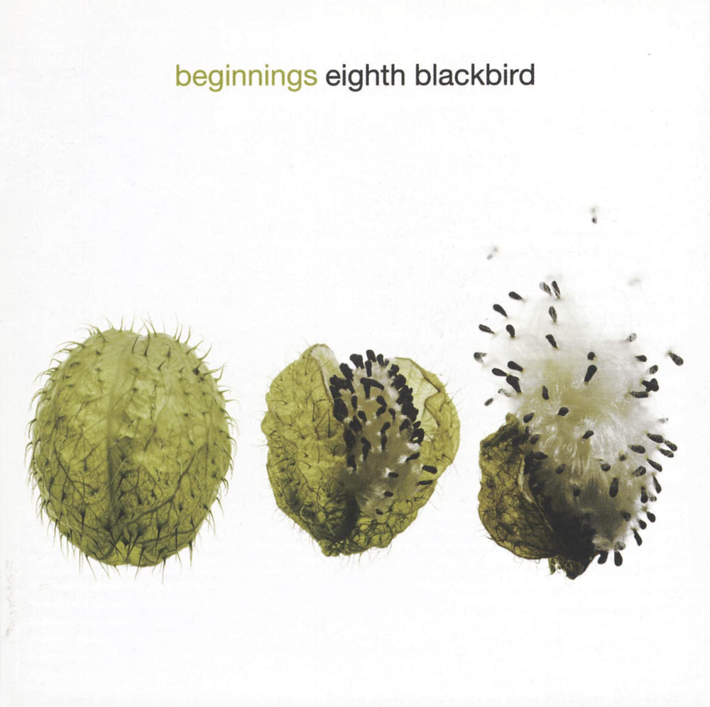 Beginnings (Contemporary Chamb - audioCD CD