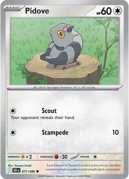 Pidove (071/086) [Scarlet & Violet: Black Bolt] Pokémon