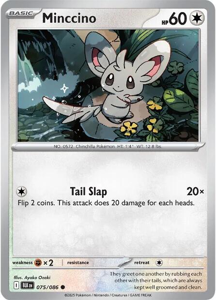 Minccino (075/086) [Scarlet & Violet: Black Bolt] Pokémon