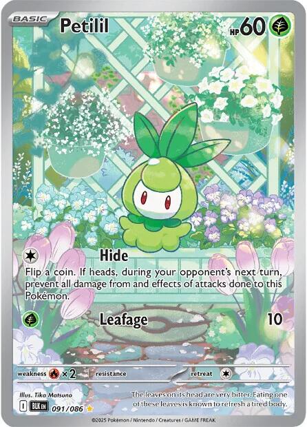 Petilil (091/086) [Scarlet & Violet: Black Bolt] Pokémon
