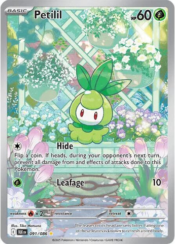 Petilil (091/086) [Scarlet & Violet: Black Bolt] Pokémon