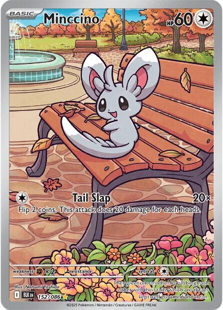 Minccino (152/086) [Scarlet & Violet: Black Bolt] Pokémon