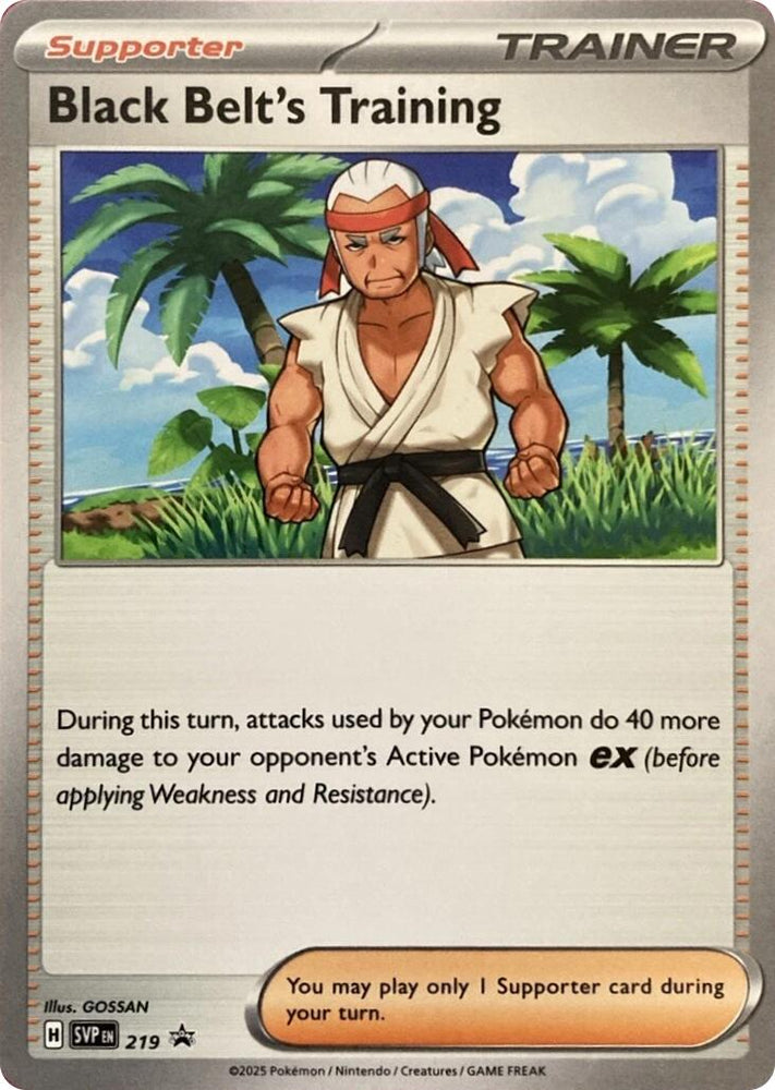 Black Belt's Training (219) [Scarlet & Violet: Black Star Promos] Pokémon