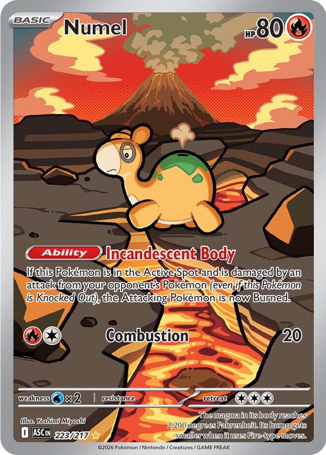 Numel (223/217) [Mega Evolution: Ascended Heroes] Pokémon
