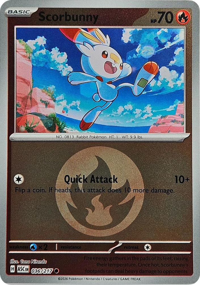 Scorbunny (036/217) (Energy Symbol Pattern) [Mega Evolution: Ascended Heroes] Pokémon