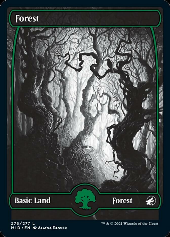 Forest (276) [Innistrad: Midnight Hunt] Magic: The Gathering
