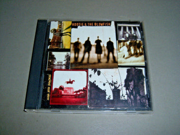 Cracked Rear View by Hootie & The Blowfish [1994] [Audio CD] Hootie & The Blowfish CD