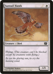 Suntail Hawk (Oversized) [Eighth Edition Box Topper] Magic: The Gathering