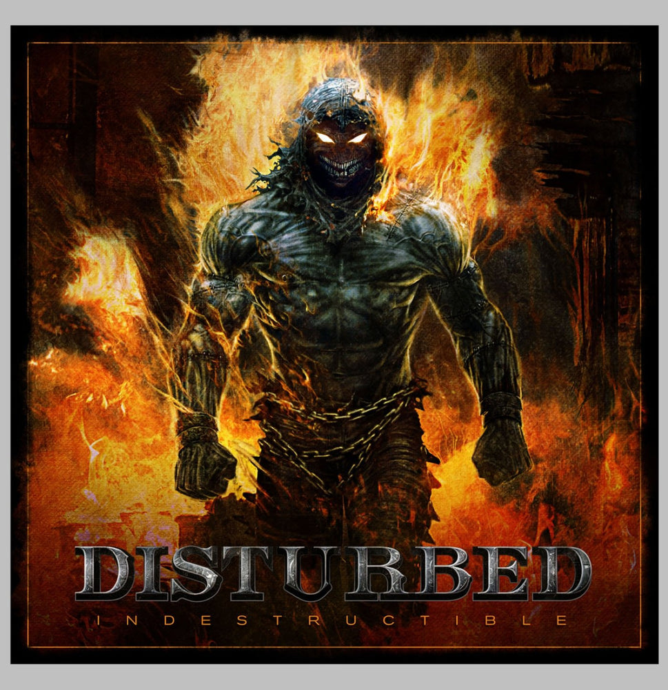 Indestructible CD