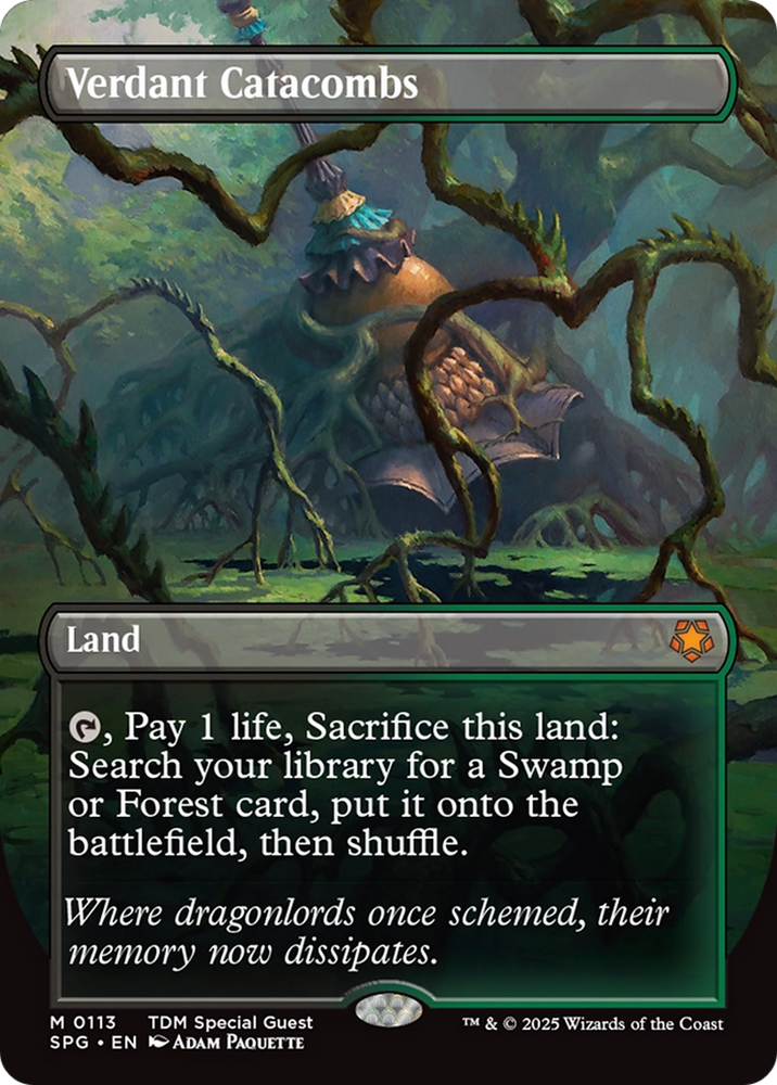 Verdant Catacombs (Borderless) [Tarkir: Dragonstorm Special Guests] Magic: The Gathering