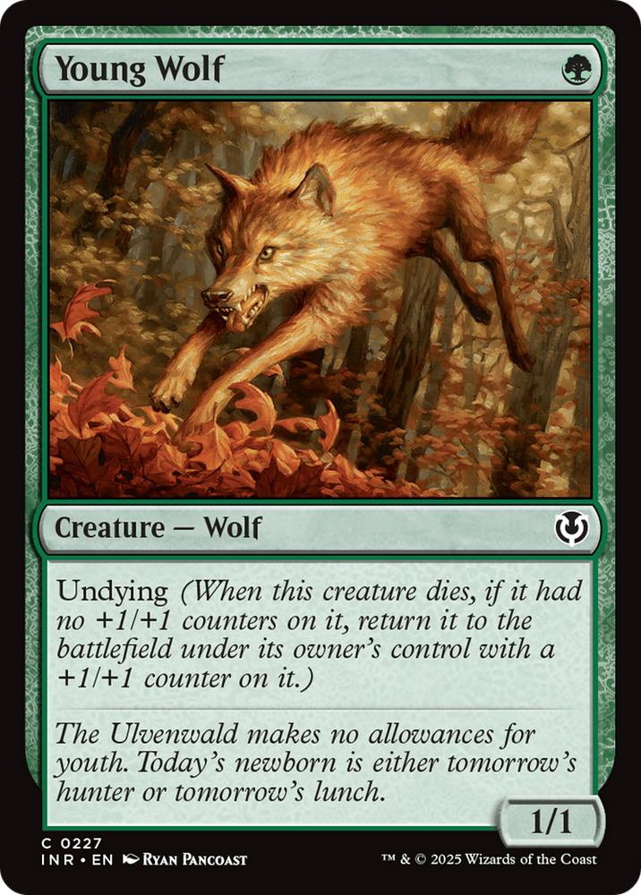 Young Wolf [Innistrad Remastered] Magic: The Gathering