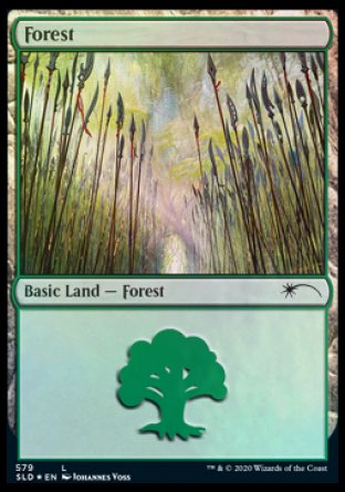 Forest (Elves) (579) [Secret Lair Drop Promos] Magic: The Gathering