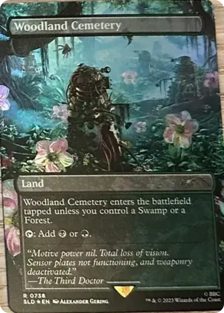 Woodland Cemetery [Secret Lair Drop Series] Magic: The Gathering