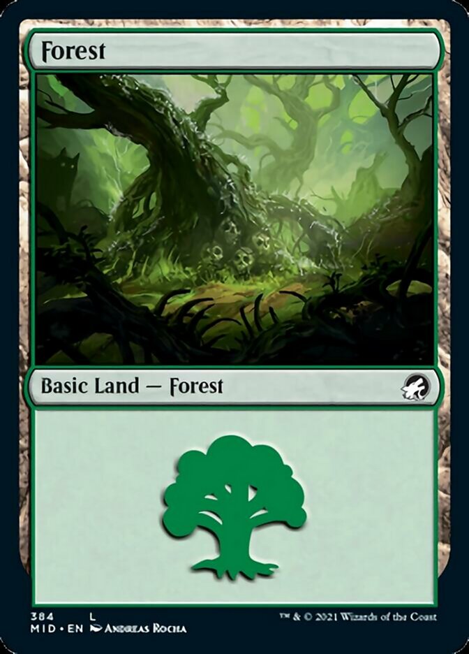 Forest (384) [Innistrad: Midnight Hunt] Magic: The Gathering