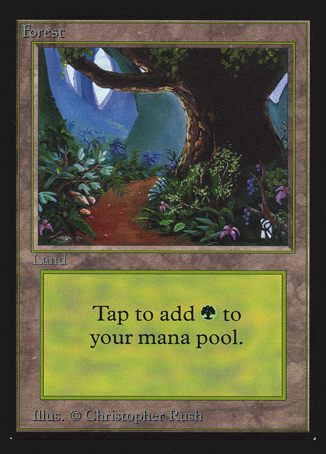 Forest (301) [International Collectors' Edition] Magic: The Gathering