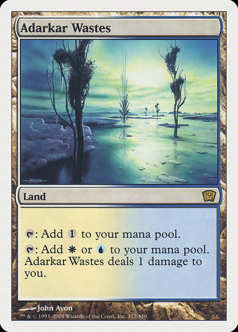 Adarkar Wastes [Ninth Edition] Magic: The Gathering
