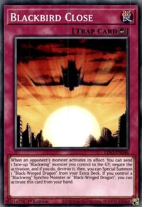 Blackbird Close [LDS2-EN046] Common Yu-Gi-Oh!