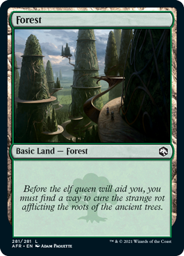 Forest (281) [Dungeons & Dragons: Adventures in the Forgotten Realms] Magic: The Gathering