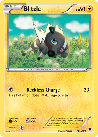 Blitzle (48/122) [XY: BREAKpoint] Pokémon