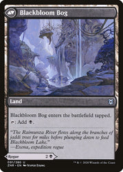 Blackbloom Rogue // Blackbloom Bog [Zendikar Rising] Magic: The Gathering