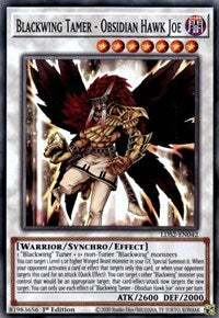 Blackwing Tamer - Obsidian Hawk Joe [LDS2-EN042] Common Yu-Gi-Oh!