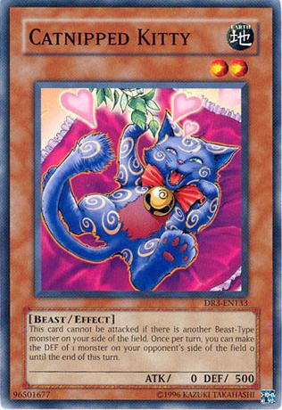 Catnipped Kitty [DR3-EN133] Common Yu-Gi-Oh!