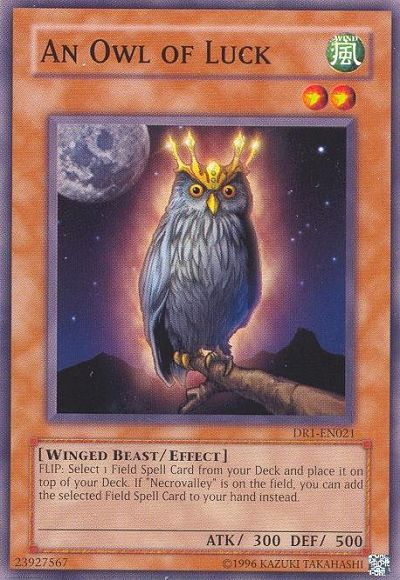 An Owl of Luck [DR1-EN021] Common Yu-Gi-Oh!