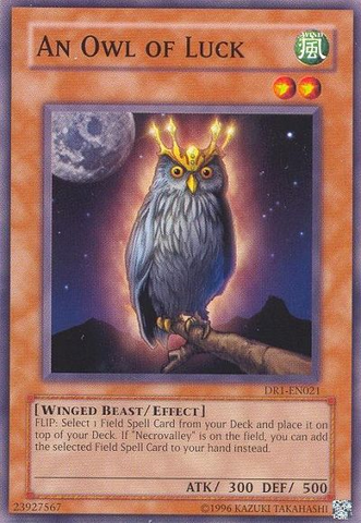 An Owl of Luck [DR1-EN021] Common Yu-Gi-Oh!