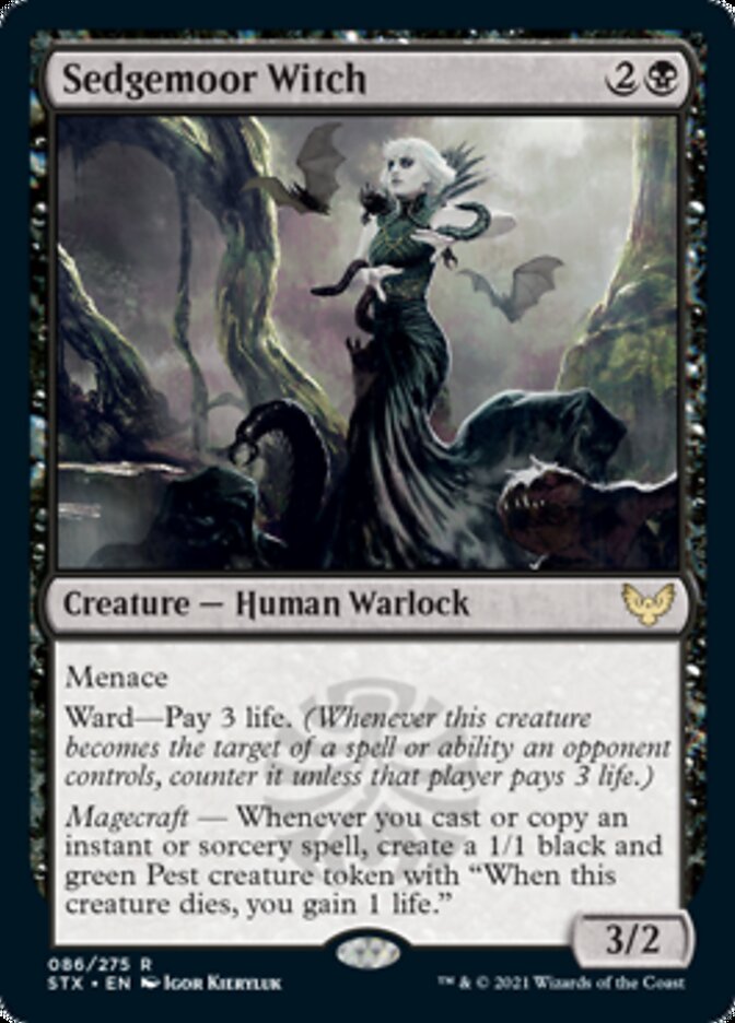 Sedgemoor Witch [Strixhaven: School of Mages] Magic: The Gathering