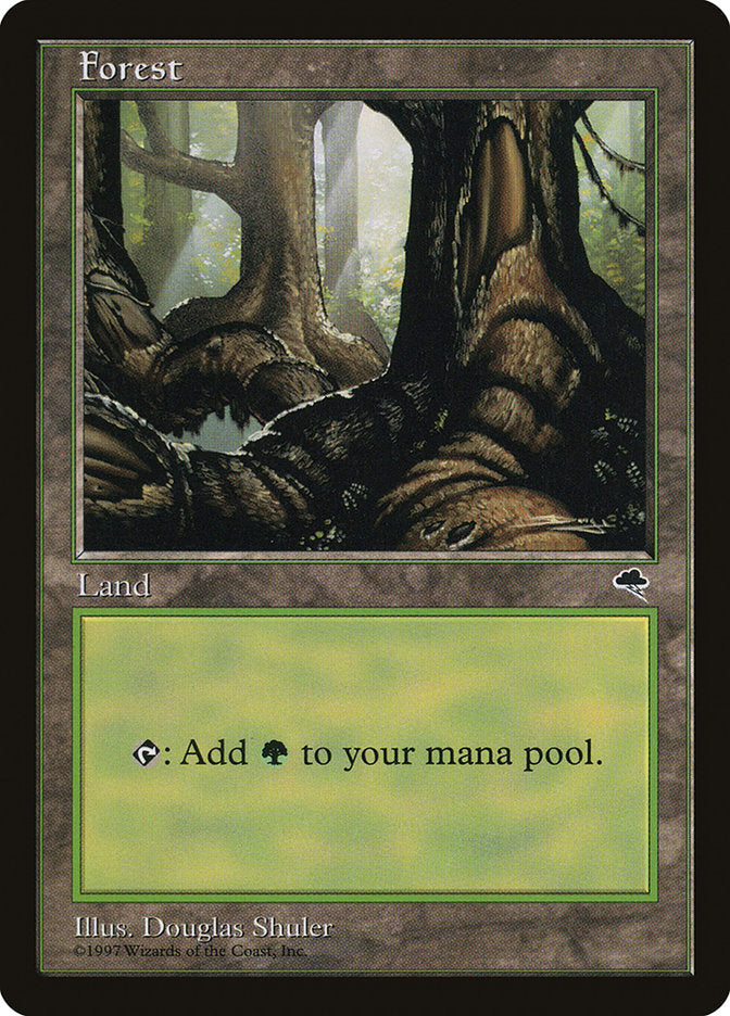 Forest (348) [Tempest] Magic: The Gathering