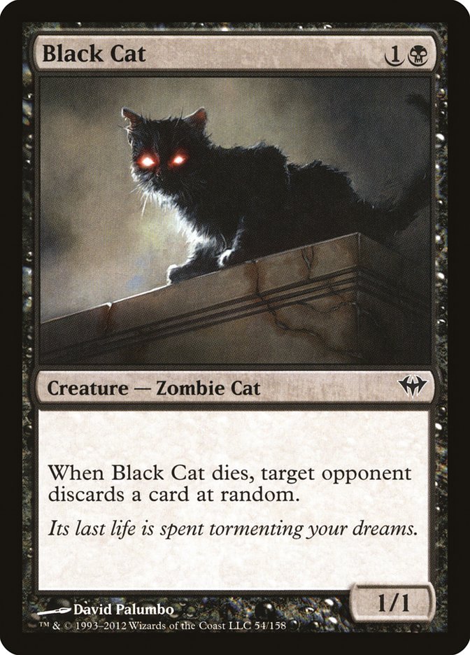 Black Cat [Dark Ascension] Magic: The Gathering