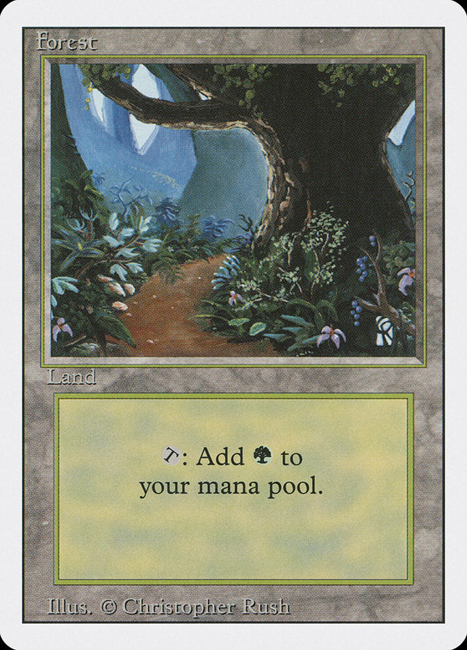 Forest (305) [Revised Edition] Magic: The Gathering