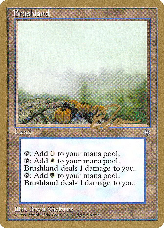 Brushland (Eric Tam) [Pro Tour Collector Set] Magic: The Gathering