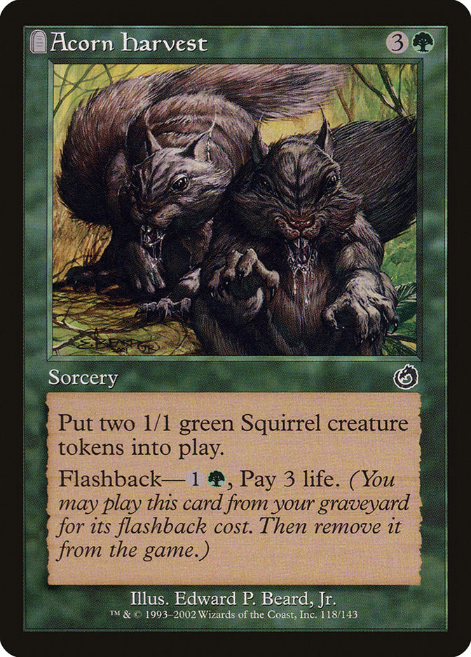 Acorn Harvest [Torment] Magic: The Gathering