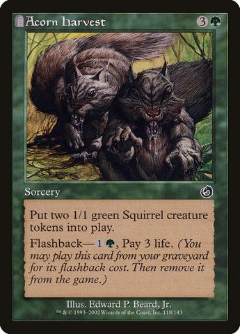 Acorn Harvest [Torment] Magic: The Gathering