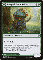 Tangled Florahedron // Tangled Vale [Zendikar Rising] Magic: The Gathering