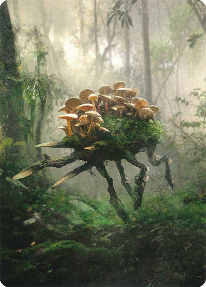 Saproling // Saproling Double-Sided Token [Unstable Tokens] Magic: The Gathering