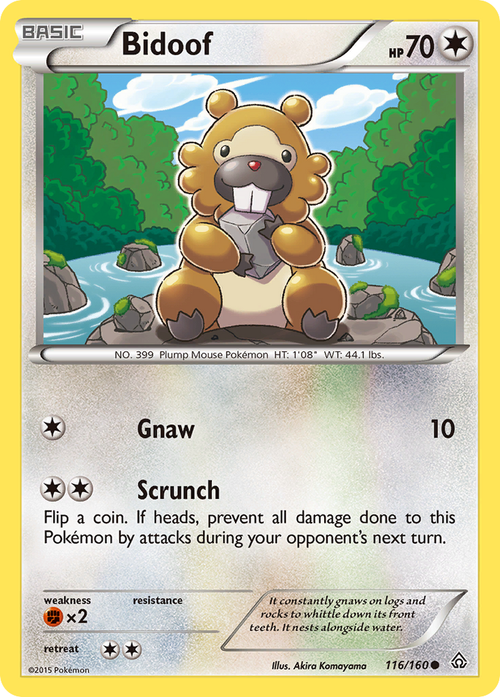 Bidoof (116/160) [XY: Primal Clash] Pokémon